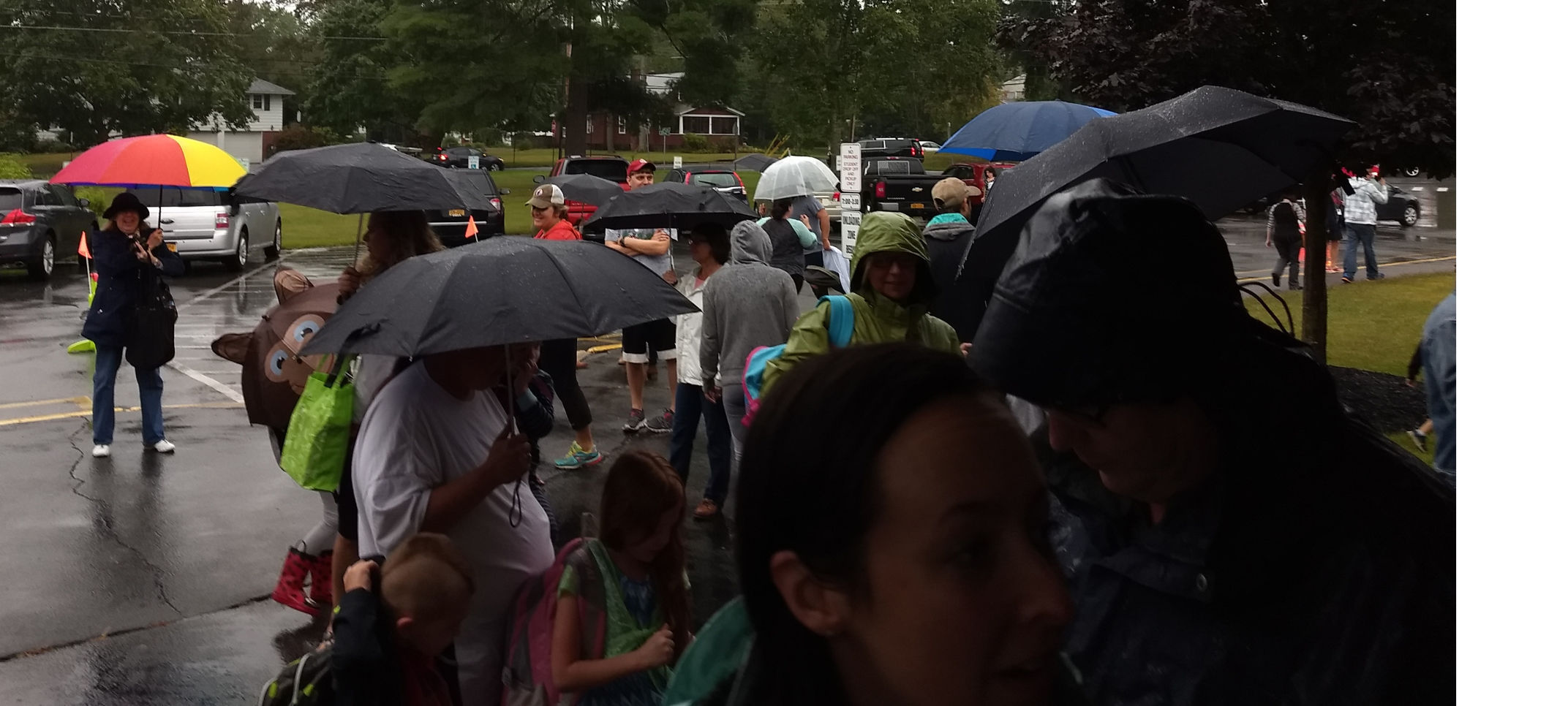Umbrellas galore